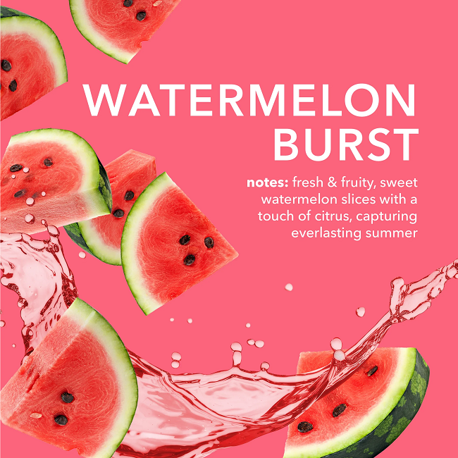 Dionis Watermelon Burst Goat Butter Lip Kit