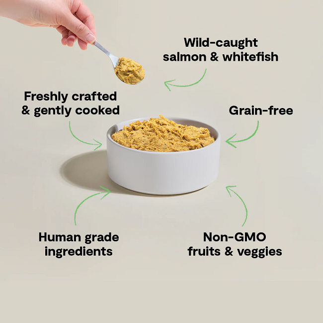 Open Farm Wild-Caught Fish Freshly Crafted Dog Food 16oz