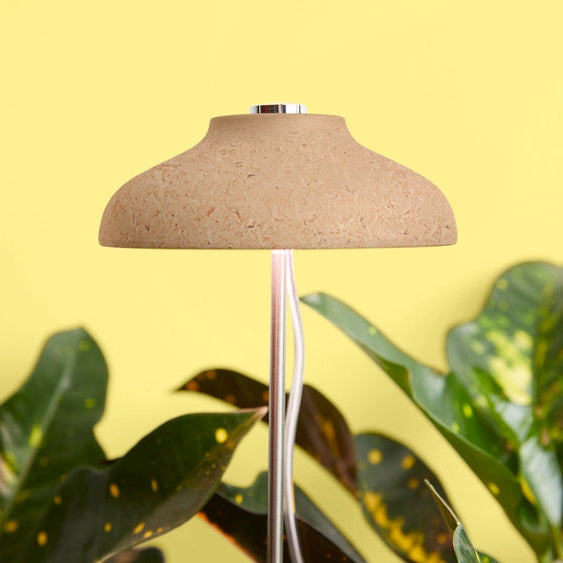 We the Wild Desk Plant Grow Kit