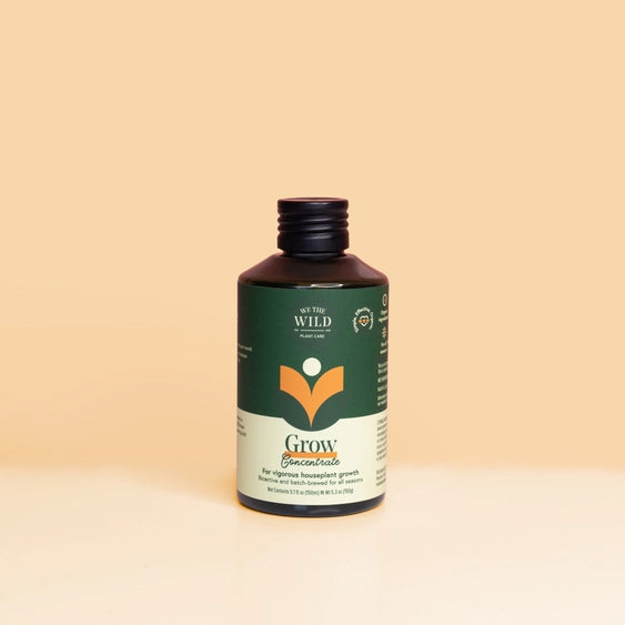 We the Wild Desk Plant Grow Kit