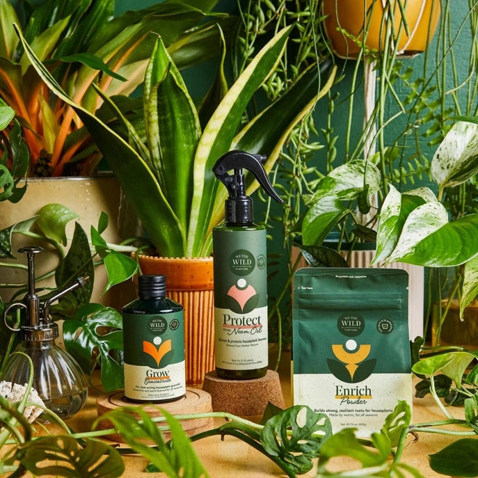 We the Wild - Essential Houseplant Care Kit