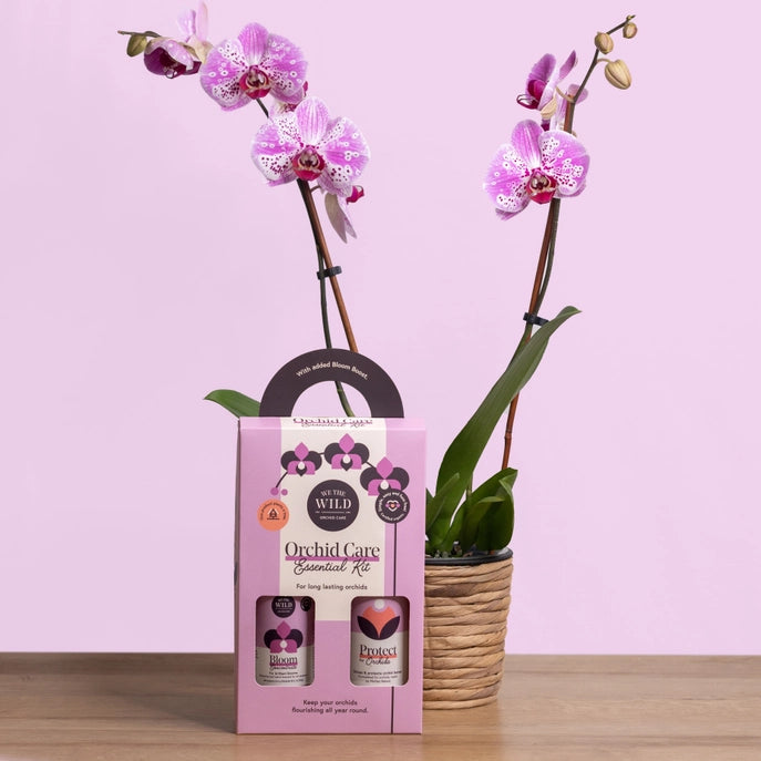 We the Wild Orchid Essential Care Duo Kit