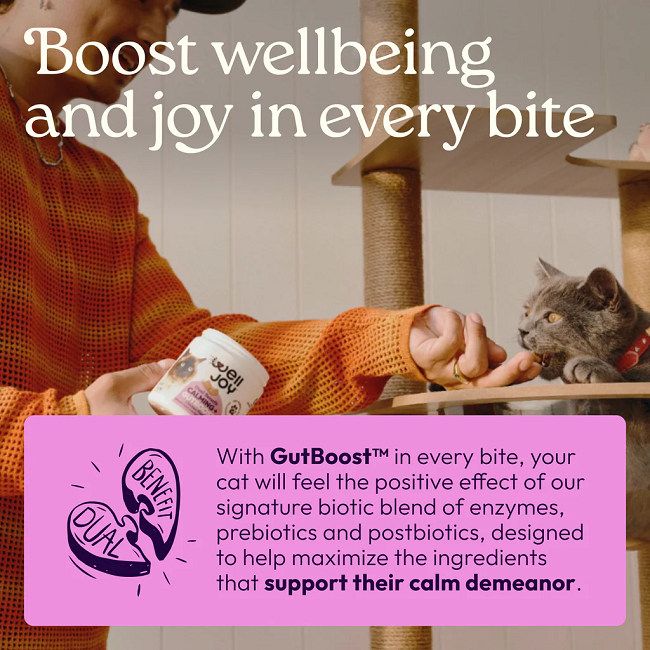 Welljoy Calming+ Cat Supplement 3.2 oz 90 count