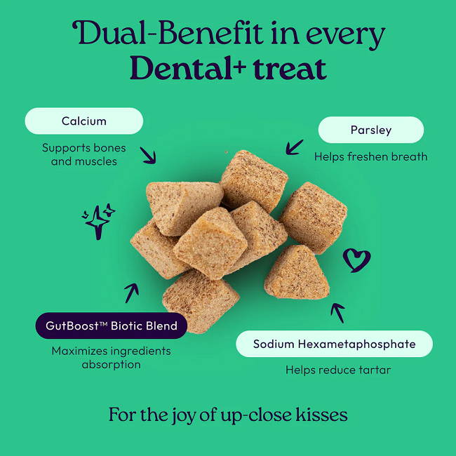 Welljoy Dental+ Cat Supplement 3.2 oz 120 count