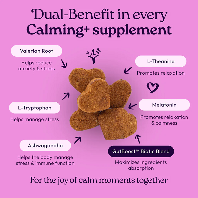 Welljoy Calming+ Dog Supplement 11.1 oz 90 count