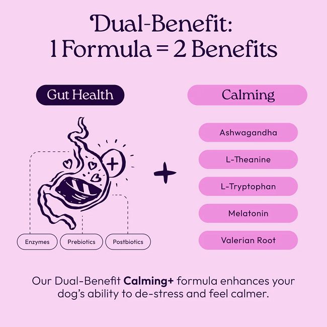 Welljoy Calming+ Dog Supplement 11.1 oz 90 count