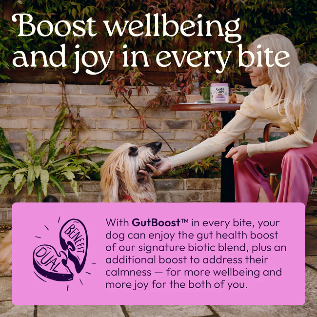 Welljoy Calming+ Dog Supplement 11.1 oz 90 count
