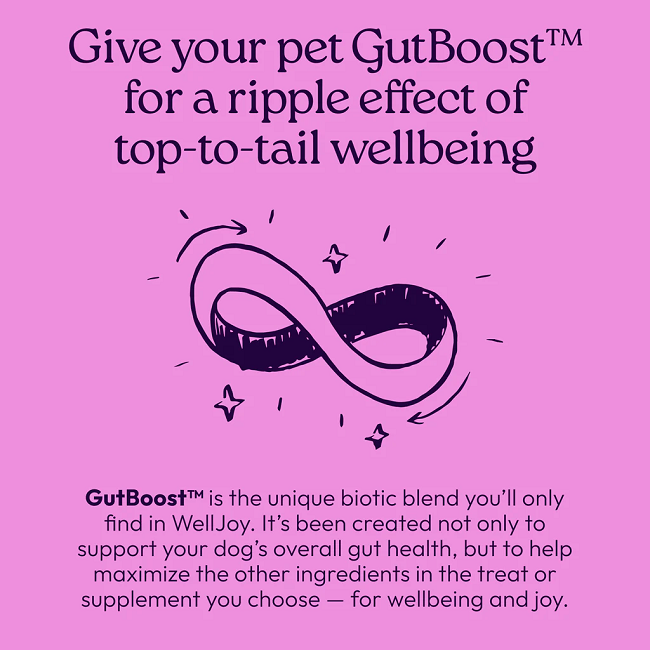 Welljoy Calming+ Dog Supplement 11.1 oz 90 count
