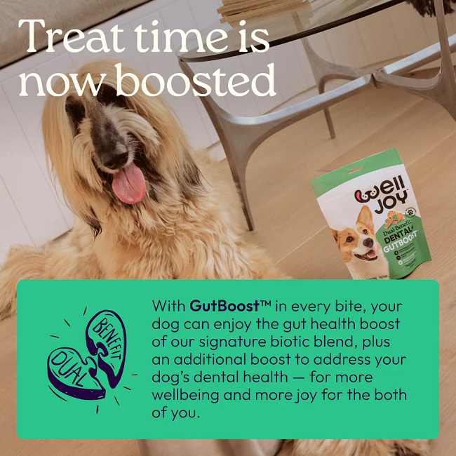 Welljoy Dental+ Dog Supplement 8.5 oz 24 Dental Treat Sticks