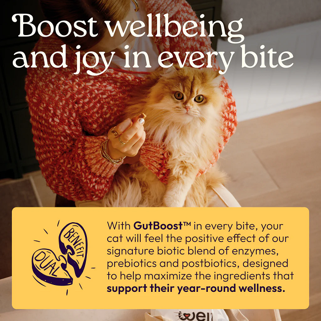 Welljoy Immune+ Cat Supplement 3.2 oz 90 count