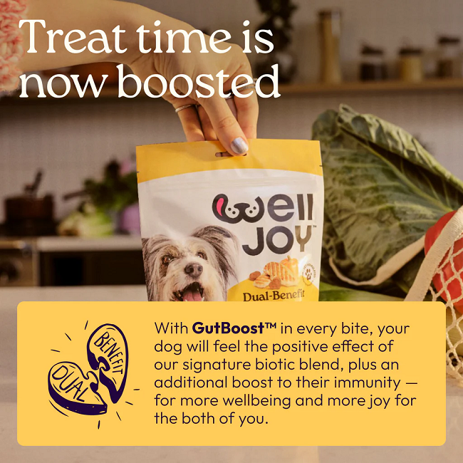 Welljoy Immune+ Dog Treats 7.4 oz 30 Soft Chews
