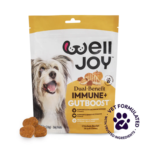 Welljoy Immune+ Dog Treats 7.4 oz 30 Soft Chews