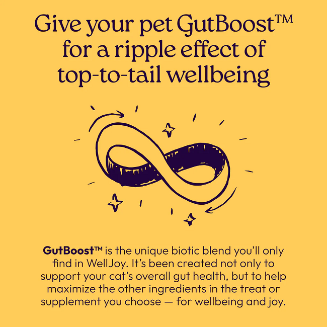 Welljoy Immune+ Cat Supplement 3.2 oz 120 count
