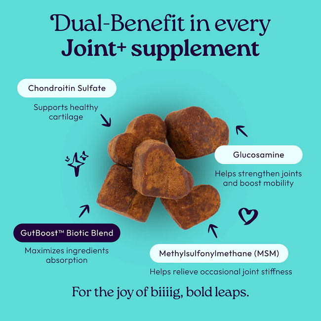 Welljoy Joint+ Dog Supplement 11.1 oz 90 count