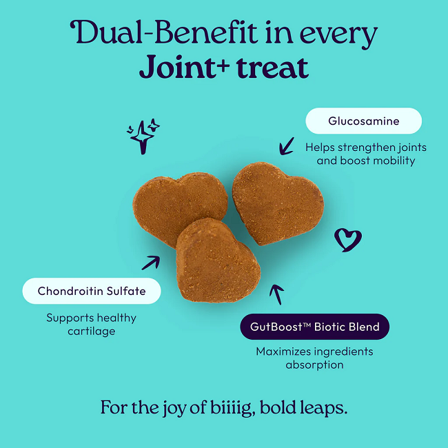 Welljoy Joint+ Dog Treats 7.4 oz 30 Soft Chews