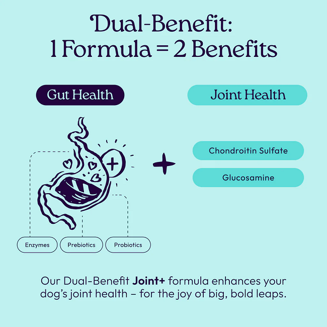Welljoy Joint+ Dog Treats 7.4 oz 30 Soft Chews