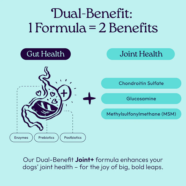 Welljoy Joint+ Dog Supplement 11.1 oz 90 count