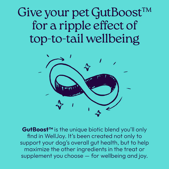 Welljoy Joint+ Dog Treats 7.4 oz 30 Soft Chews