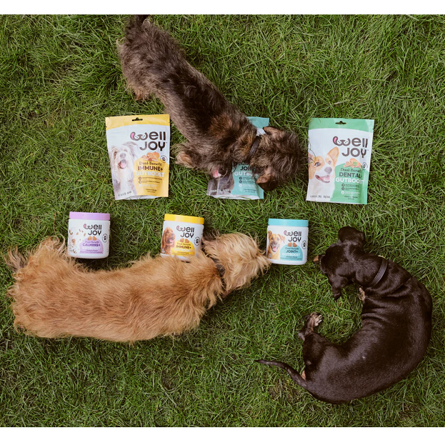 Welljoy Joint+ Dog Supplement 11.1 oz 90 count