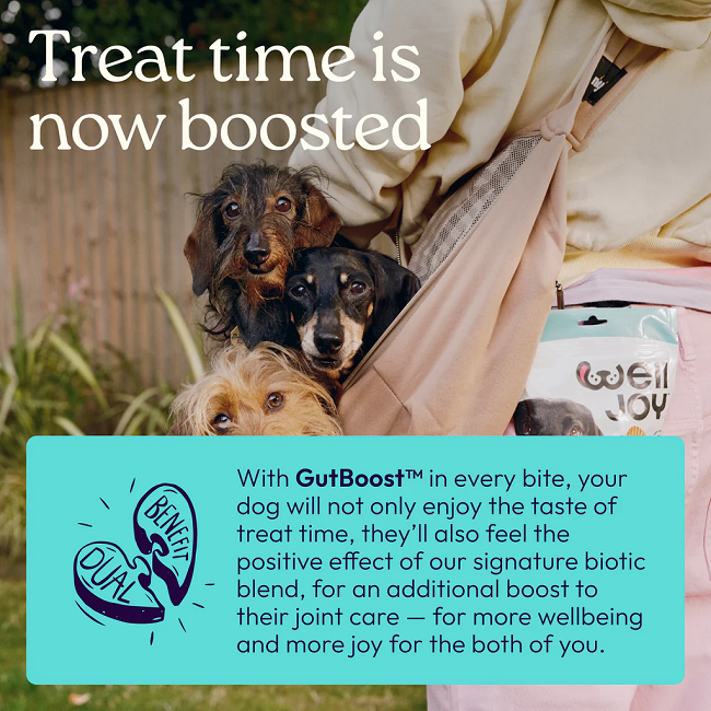 Welljoy Joint+ Dog Treats 7.4 oz 30 Soft Chews