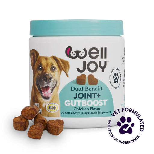 Welljoy Joint+ Dog Supplement 11.1 oz 90 count