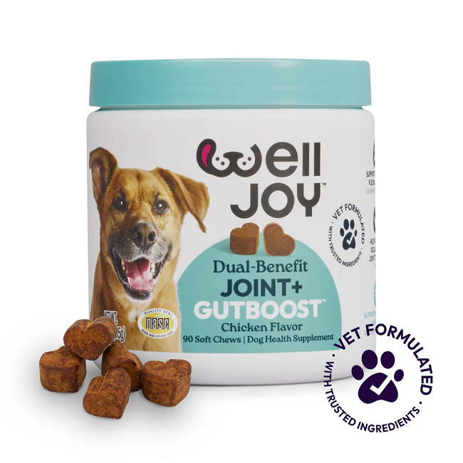 Welljoy Joint+ Dog Supplement 11.1 oz 90 count