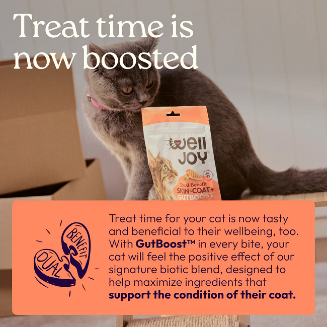 Welljoy Skin & Coat+ Cat Supplement 3.2 oz 120 count