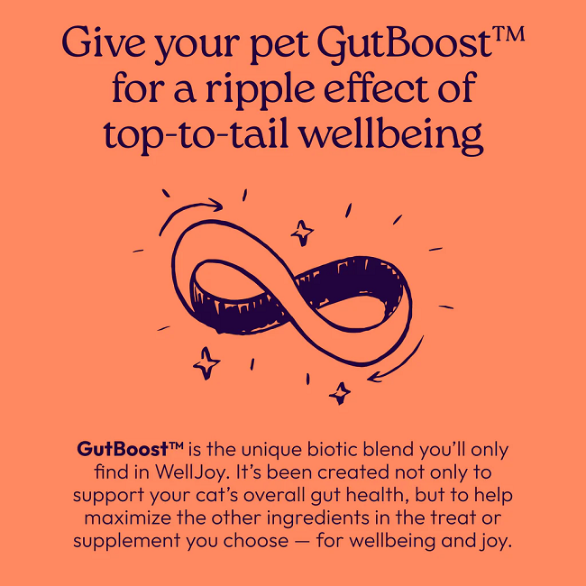 Welljoy Skin & Coat+ Cat Supplement 3.2 oz 120 count