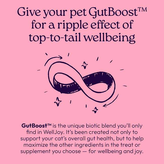 Welljoy Urinary+ Cat Supplement 3.2 oz 90 count