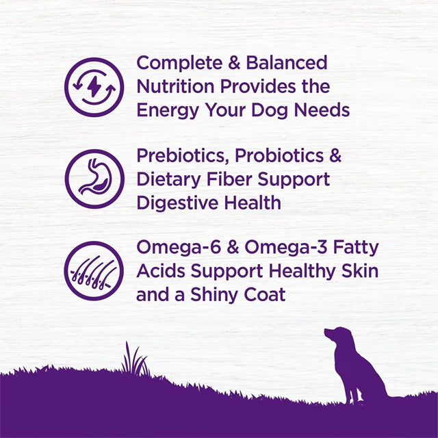 Wellness Complete Health Natural Beef & Barley Recipe Adult Dry Dog Food