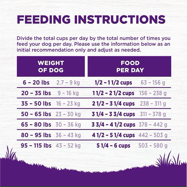 Wellness Complete Health Natural Beef & Barley Recipe Adult Dry Dog Food