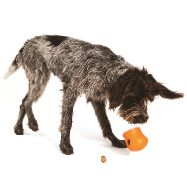 WEST PAW Zogoflex Toppl Tough Treat Dispensing Dog Chew Toy, Tangerine,  Small 