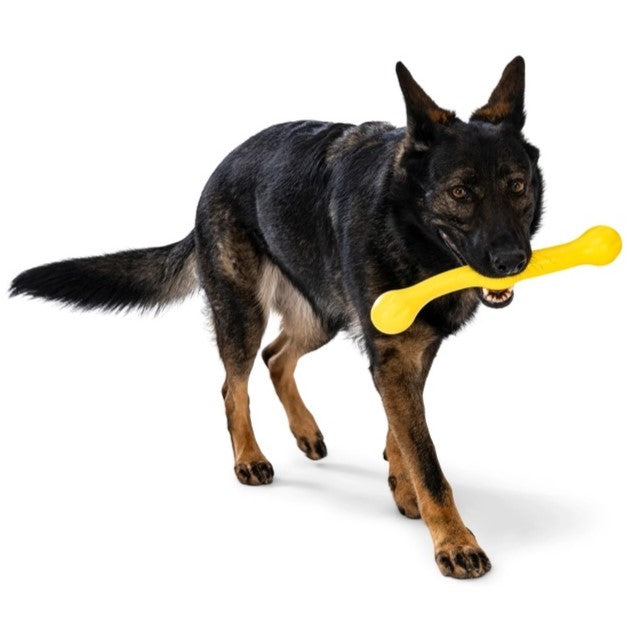 West Paw Zogoflex Zwig Fetch Stick Dog Toy, Dandelion Yellow