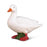 CollectA White Duck