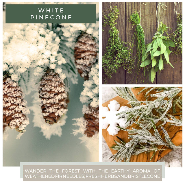 Keepers of the Light Candle, White Pinecone Mama Jar