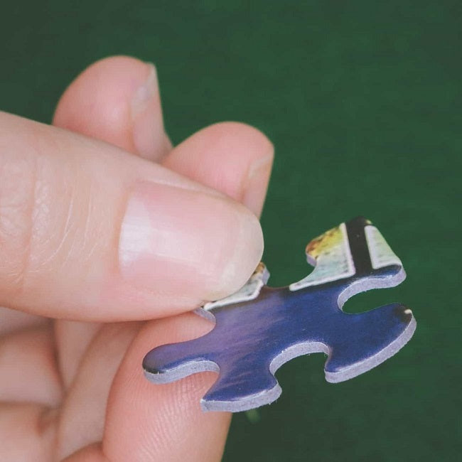 Simpler Times Seek & Find Puzzle 1000 Piece White Mountain Puzzles