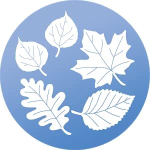 Leaf Medley Decal Window Strike Deterrent 5-Pack