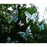 Window Gems Butterflies 8 Piece Prismatic Window Decals