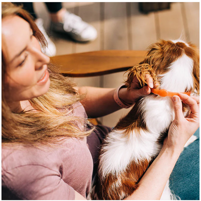 Wondercide Flea & Tick Collar for Dogs with Natural Essential Oils