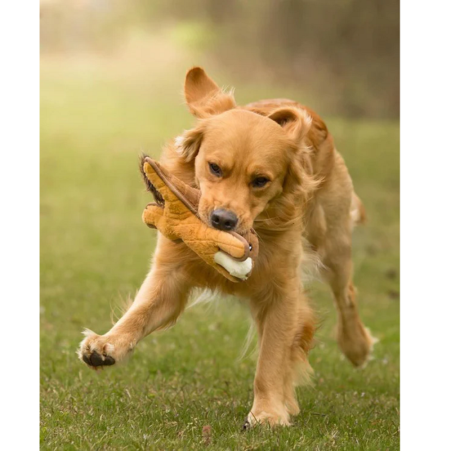 Ruff & Whiskerz Woodlandz Dog Toys, Assorted