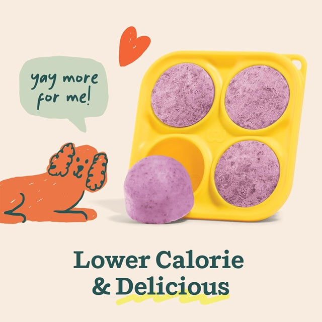 Pupsicle Mix Calming Support Beef Flavor DIY Lickable Dog Treats 5.5-oz