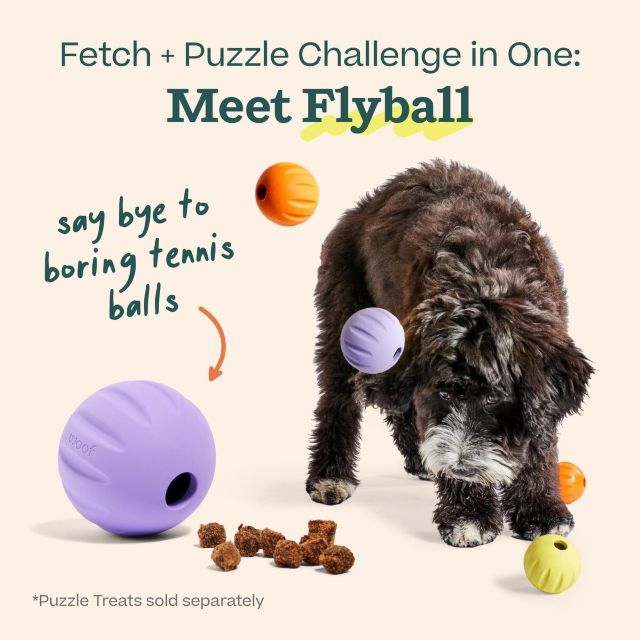 Woof Forager Flyball 2-in-1 Fetch & Puzzle Treat Dog Toy, Yellow