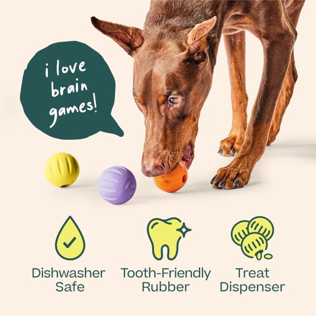 Woof Forager Flyball 2-in-1 Fetch & Puzzle Treat Dog Toy, Yellow