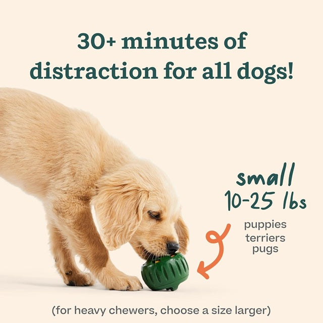 Pupsicle Original Treat Dispensing Dog Toy, Lavender