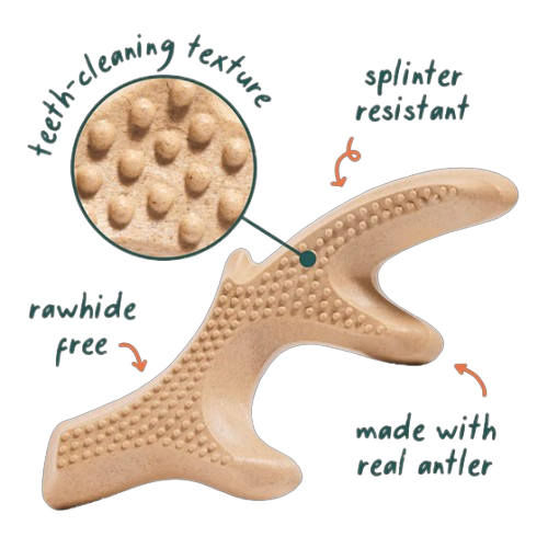 Woof HonestChew Antler Bone Dog Toy