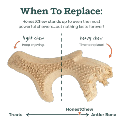 Woof HonestChew Infinity Bone Dog Toy