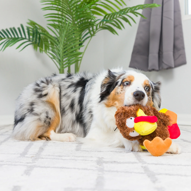 Slappies Wishbone Turkey Dog Toy