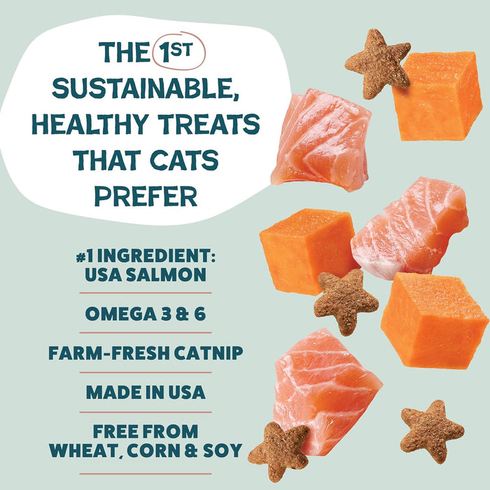 Superstar Crunchers Yam Good Salmon Crunchy Cat Treats 2.5oz