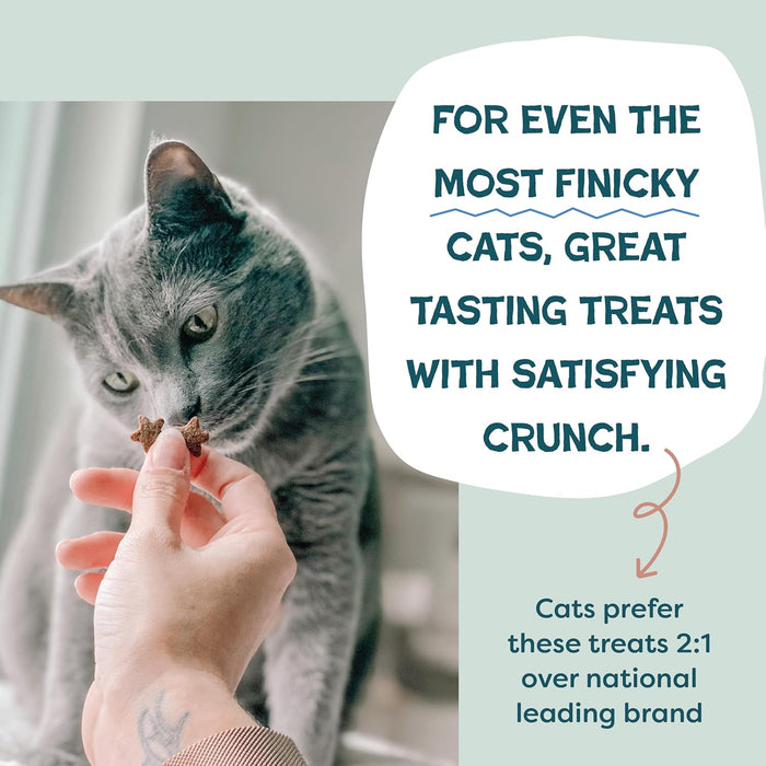 Superstar Crunchers Yam Good Salmon Crunchy Cat Treats 2.5oz