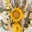 Yellow Strawflower Happy Mini Dried Floral Bouquet